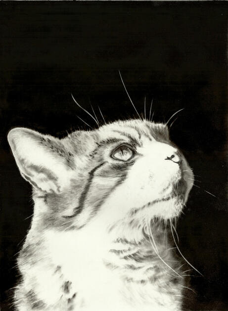EXperiment in Charcoal